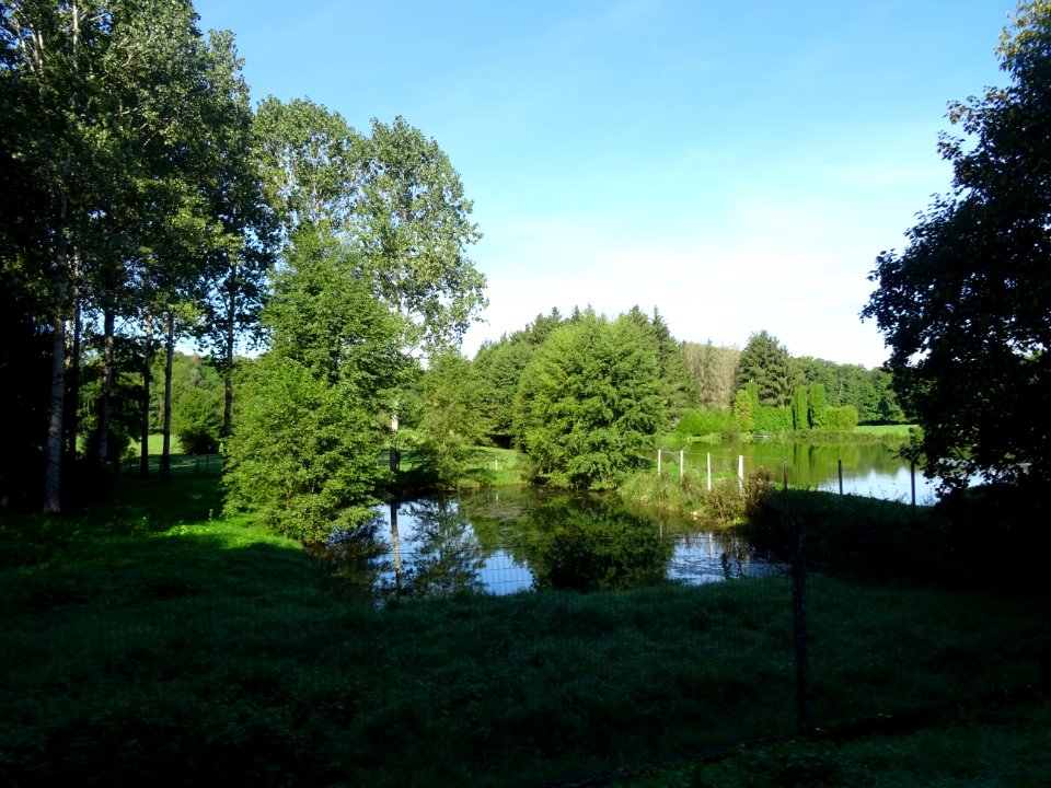 Petit étang entre Bazincourt-sur-Saulx et Lavincourt, Meus… 