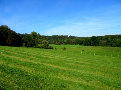 Fauchage des prairies, l'herbe sèche en andins, entre Lavi… 