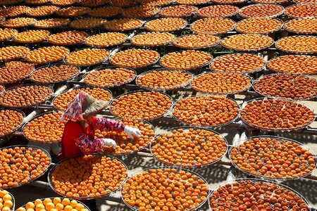 Chinese dry orange fruit food photo