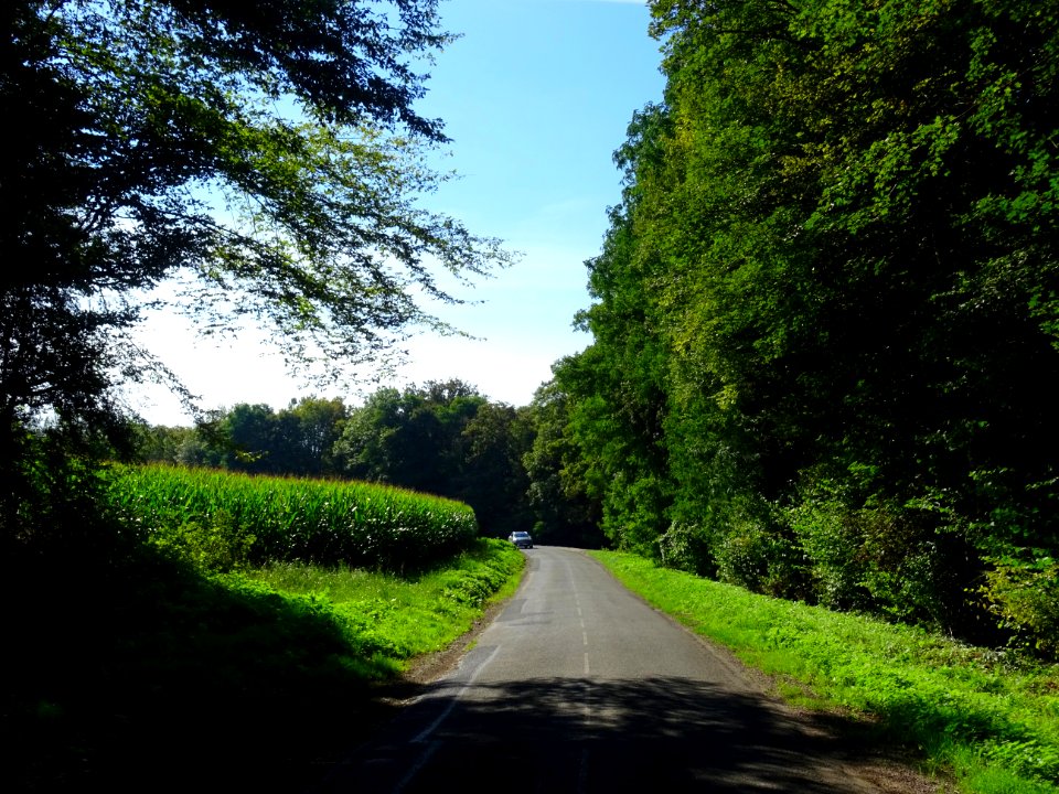 Sur une petite route entre Brauvilliers, Meuse et Sommevil… 