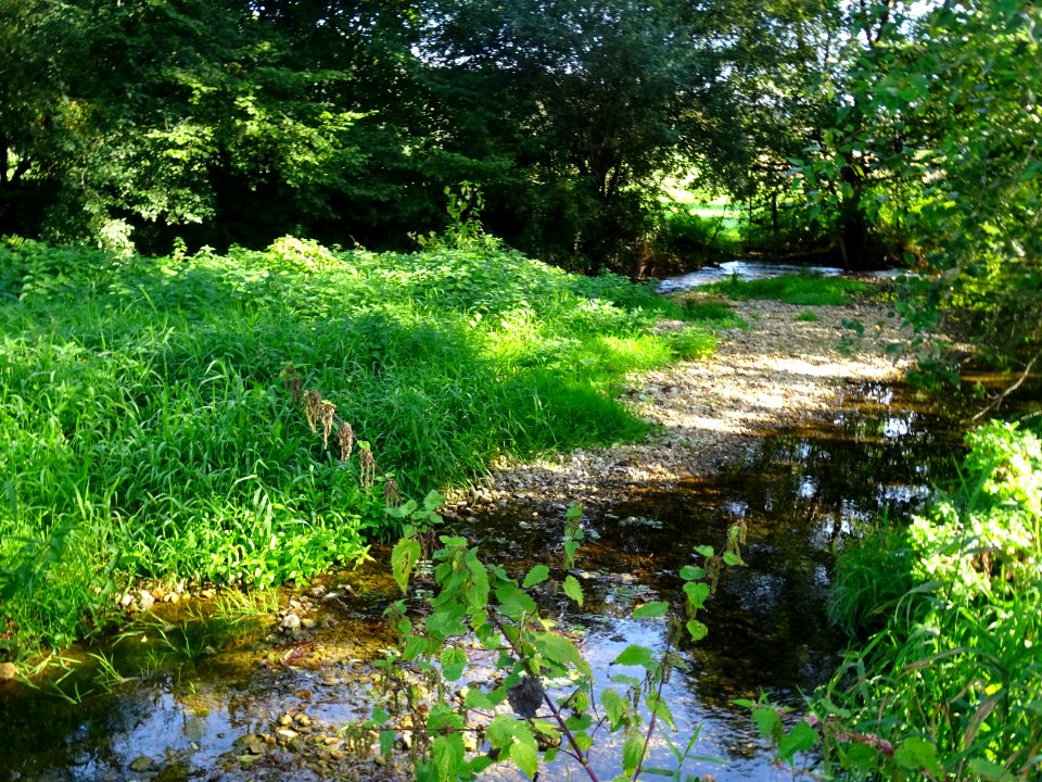 La Saulx, Lavincourt, Meuse 