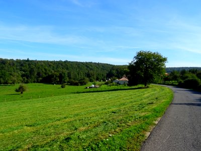 Fauchage des prairies, l'herbe sèche en andins, regard arr… 
