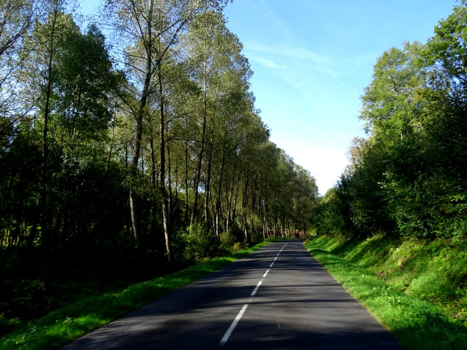 Sur la route entre Bar-le-Duc et Montplonne, Meuse 