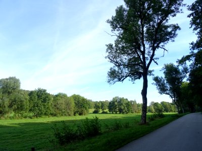 DSC00297 