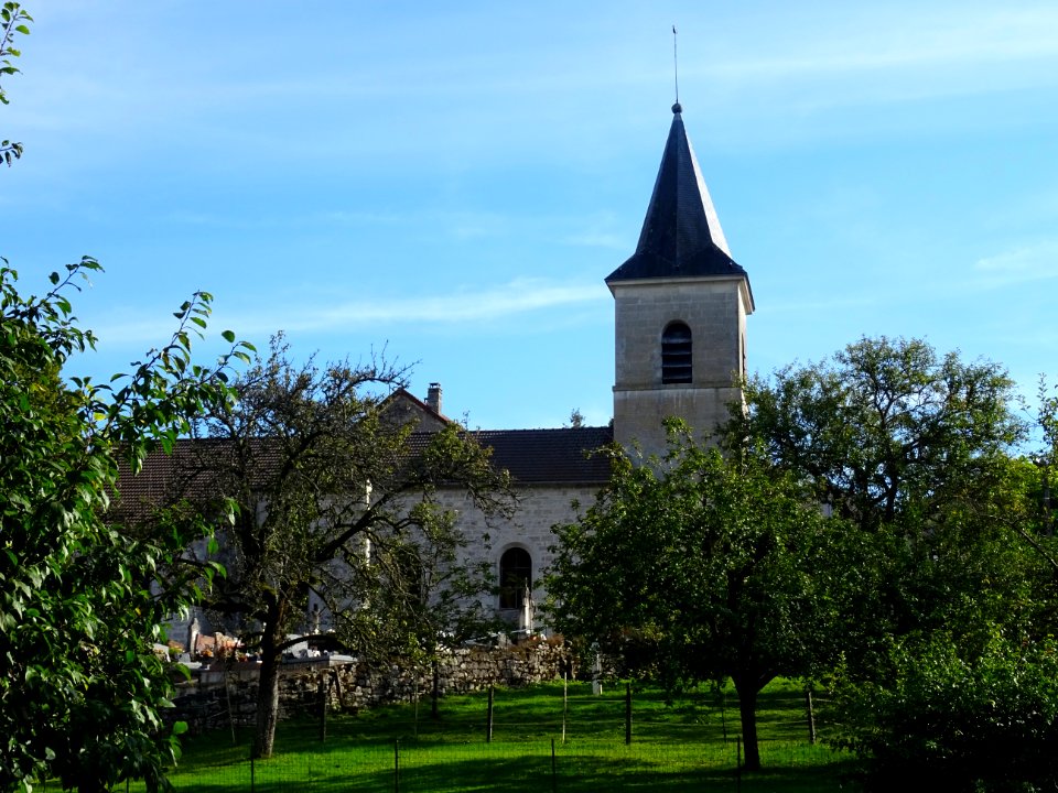 Dans le verger autour de l'église Saint-Martin, Crenay, Ha… 
