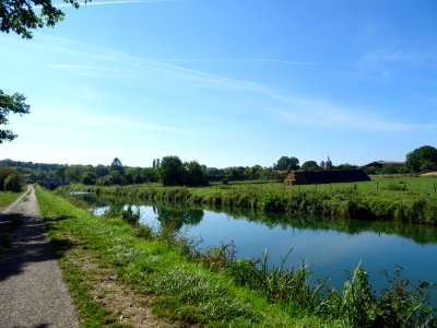 DSC00133 