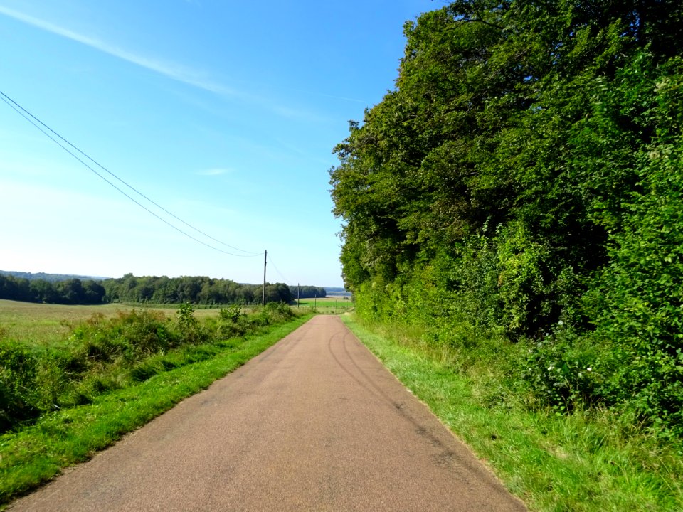 Sur une petite route entre Brauvilliers, Meuse et Sommevil… 