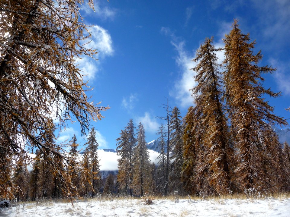 Plateau d'Oréac 
