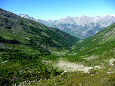 Vallon de Narreyroux, bien vert 