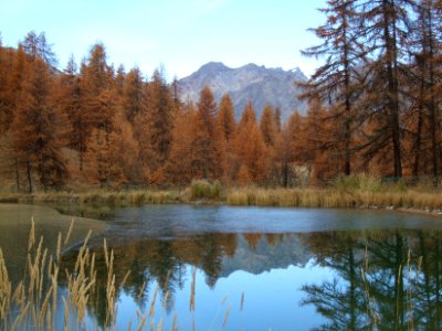 Lac des Hermes et mélèzes aux couleurs d'automne photo