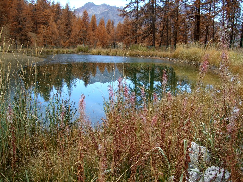 Lac des Hermes et mélèzes aux couleurs d'automne 