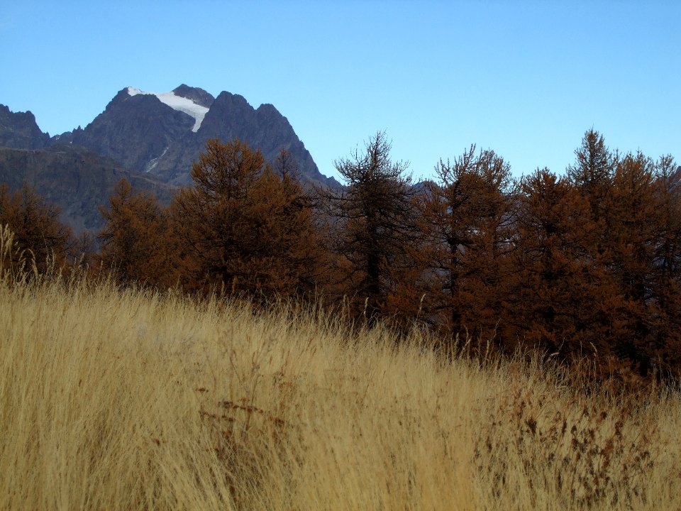 Mont Pelvoux, chaume et mélèzes aux couleurs d'automne 