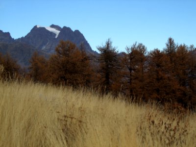 Mont Pelvoux, chaume et mélèzes aux couleurs d'automne photo