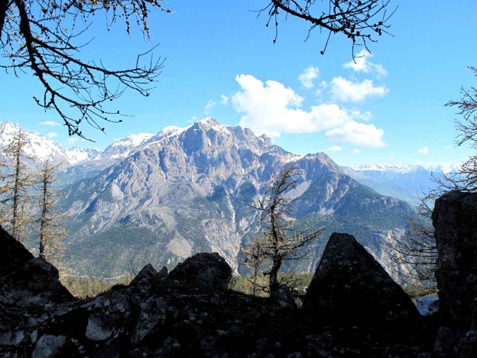 Le Montbrison au printemps 