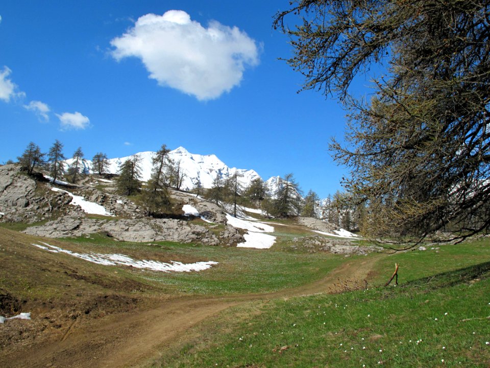 La Tête de Dormillouse depuis les Têtes, au printemps 