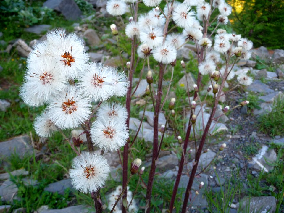 P1100122 