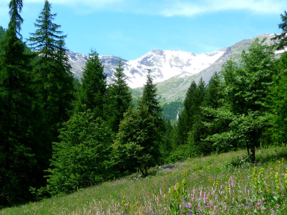 Vallon de Narreyroux fleuri, cascade et col des Queyrettes… 