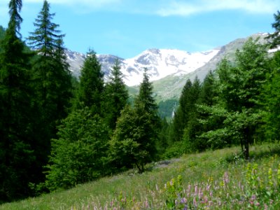 Vallon de Narreyroux fleuri, cascade et col des Queyrettes… 