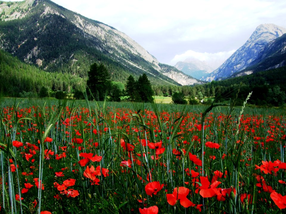 Vers Val-des-Prés, Hautes-Alpes 