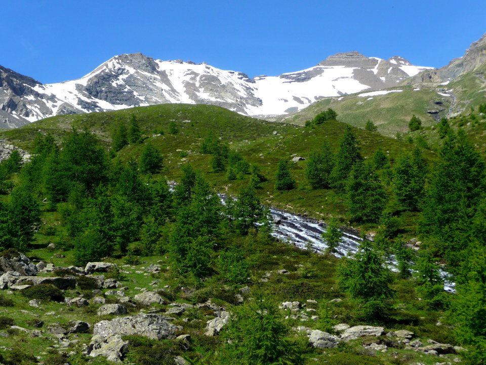 La vallon de Narreyroux vert et tendre 