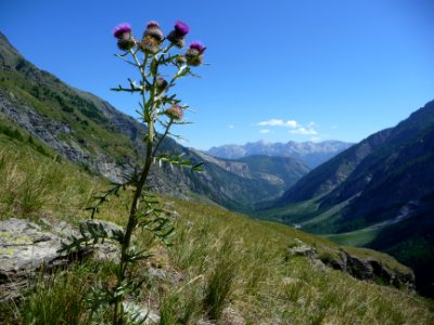 Chardon et vallée du Fournel, le Pic de Peyre-Eyraute, tou… 