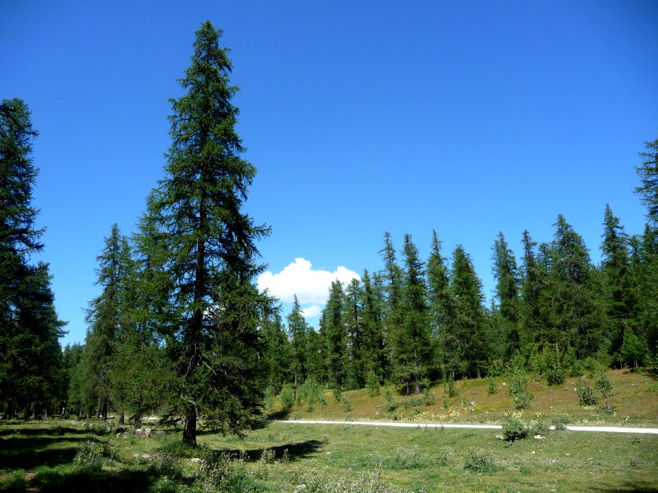 Col de la Pousterle 