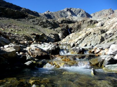 Petit torrent aux reflets mordorés 