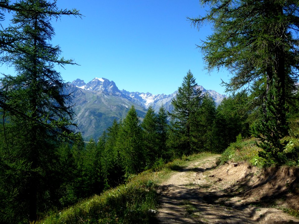 Le Mont Pelvoux, le Glacier Blanc, le Pic de Neige Cordier… 