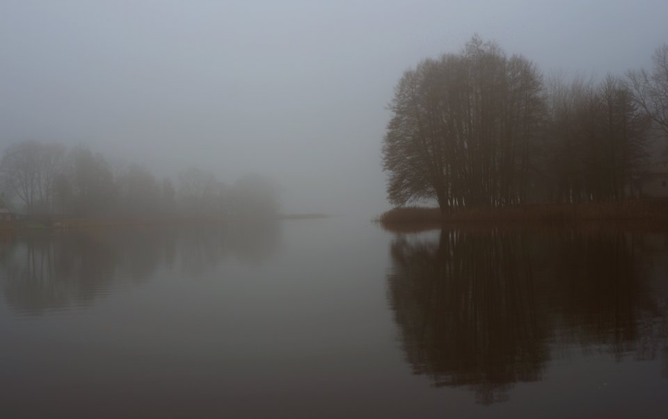 12 veisiejai Misty Ančia Lake 