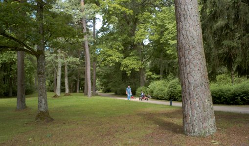 20 palanga Birutė Park 