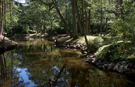 13 palanga Birutė Park 