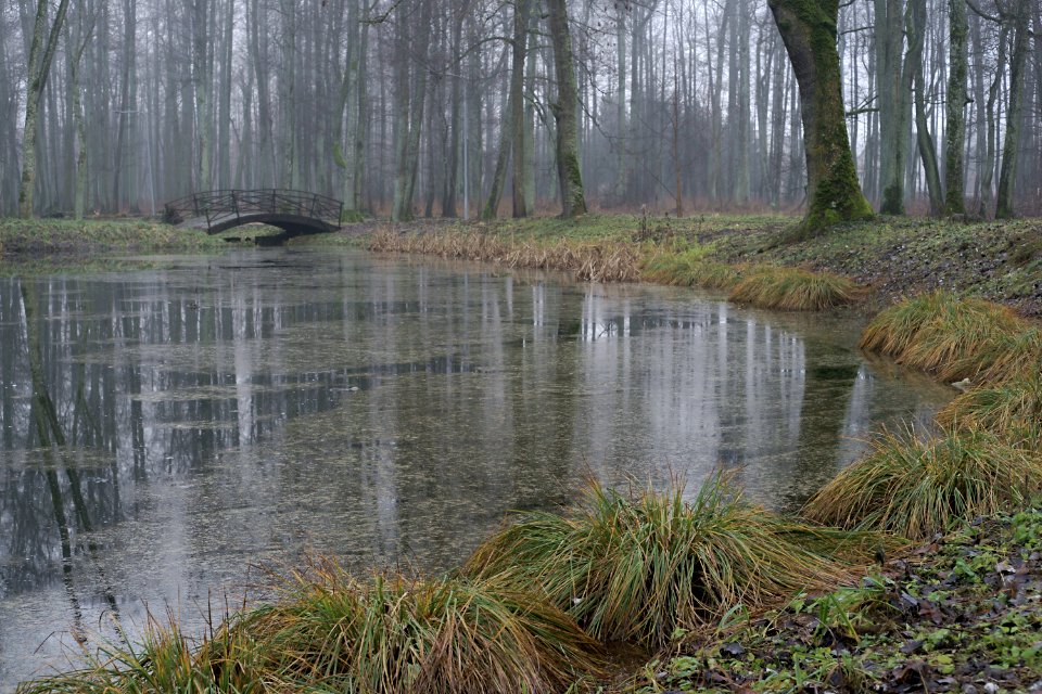 05 veisiejai The Pond 