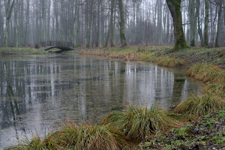 05 veisiejai The Pond 