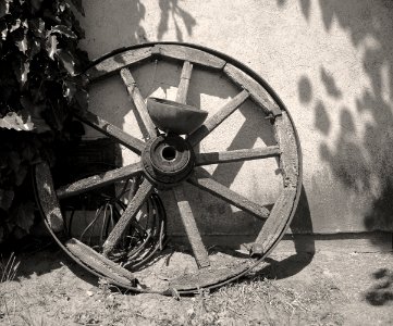 04 nida Mingė Detail 