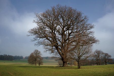 375 kent Penshurst Park 