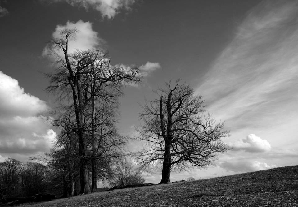 367 kent Knole Park 