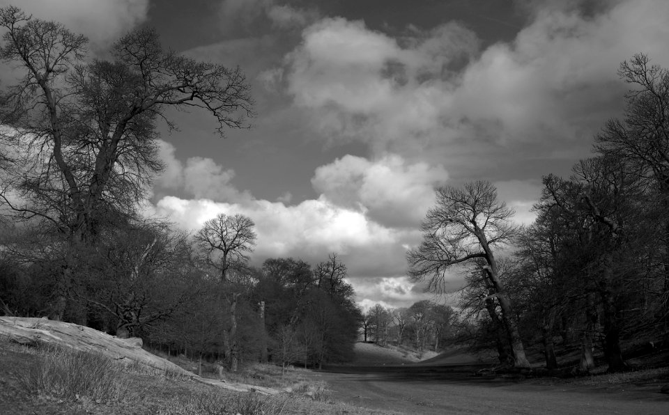 357 kent Knole Park photo