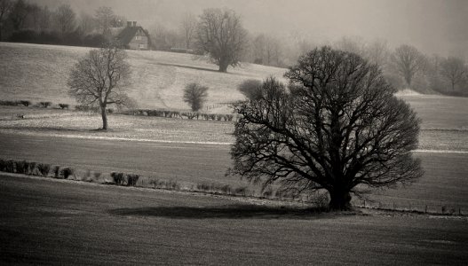 362 kent Penshurst Park 