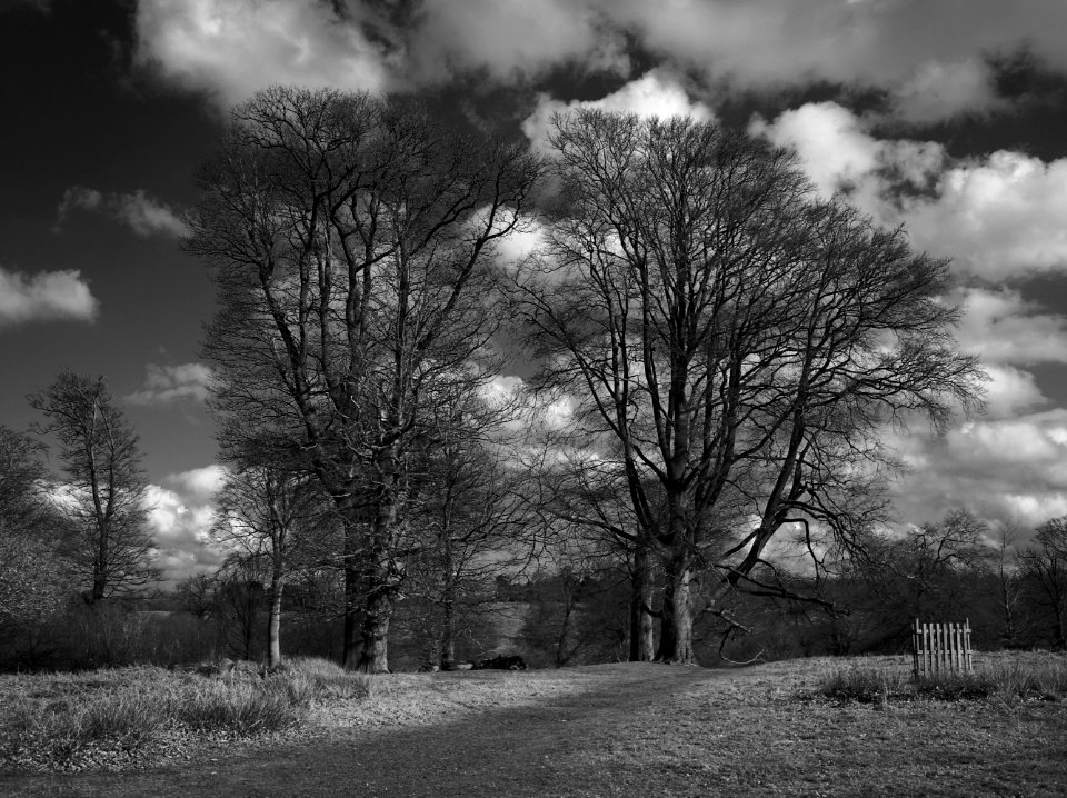 126 record Knole Park 