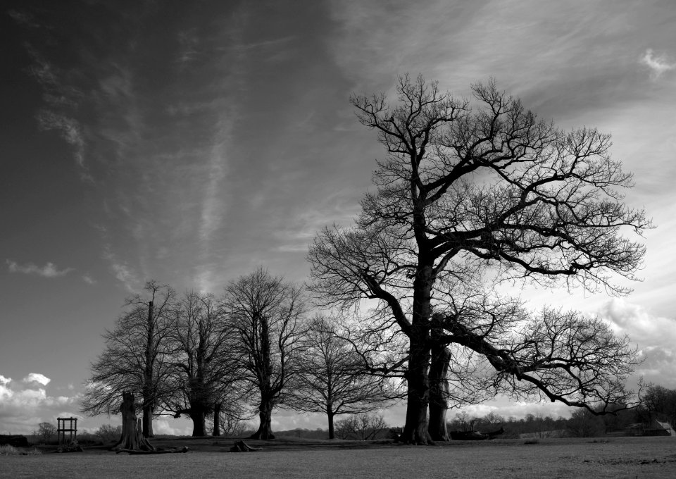 124 record Knole Park 