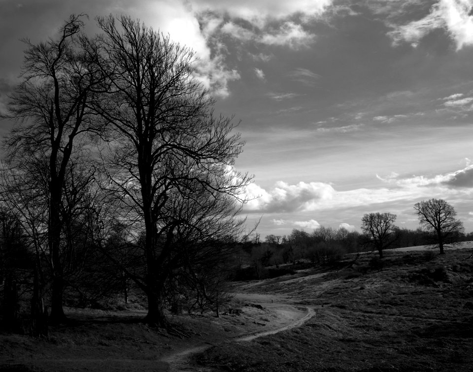 356 kent Knole Park 