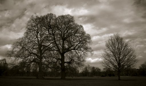 127 record Footscray Meadows 