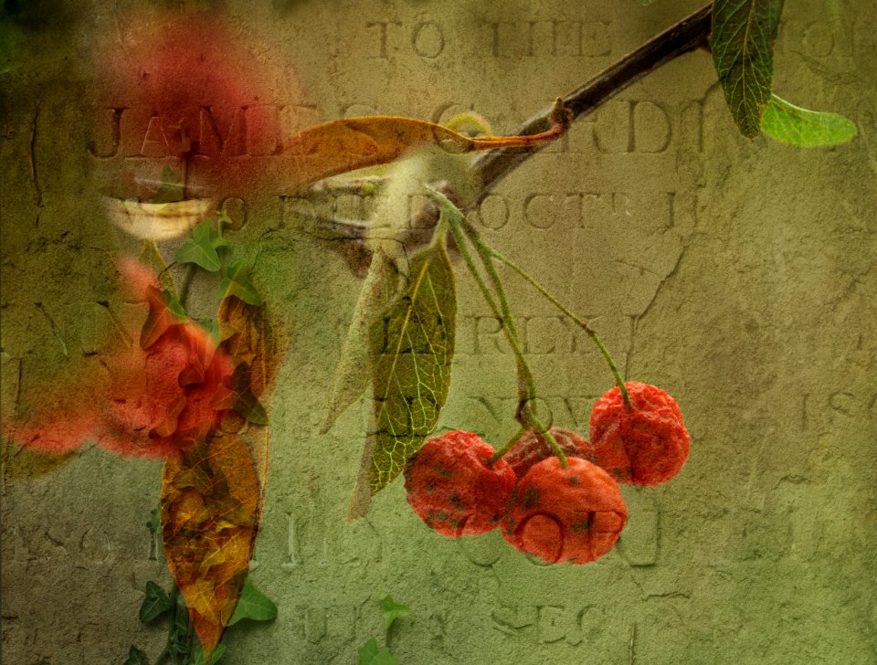 129 leaves etc. Firethorn Art 