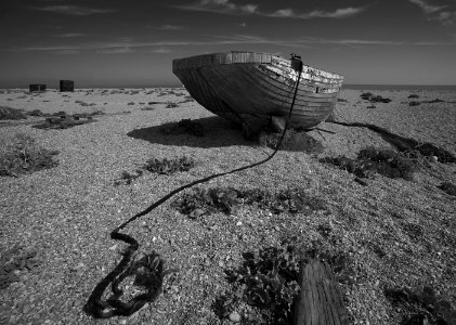 321 kent Dungeness photo