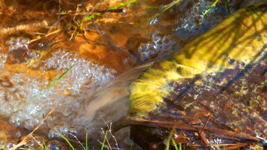 165 sussex Water Art 