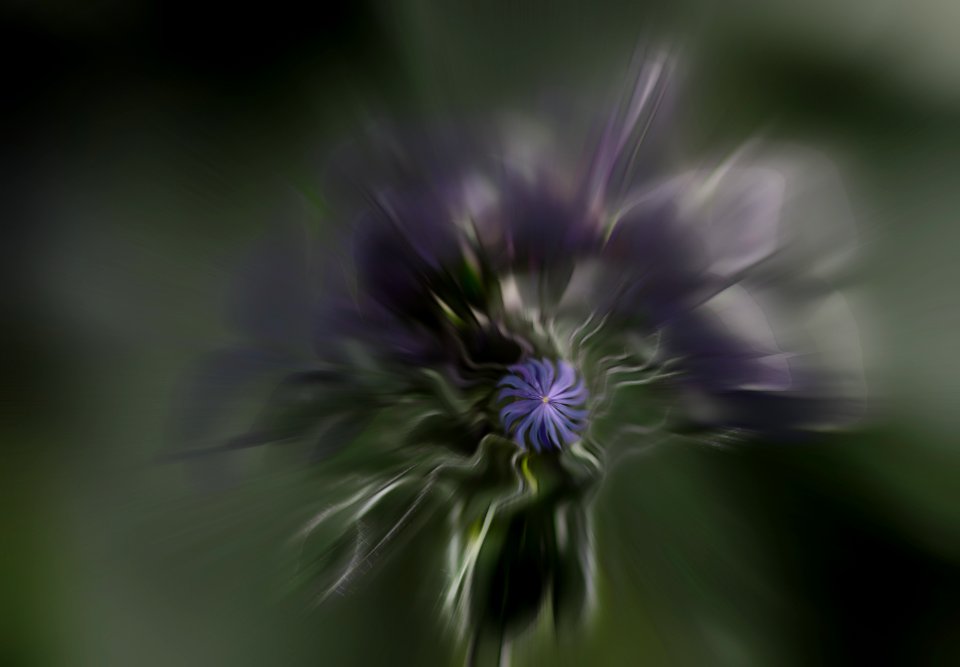 146 flowers Hall Place Art Hothouse 