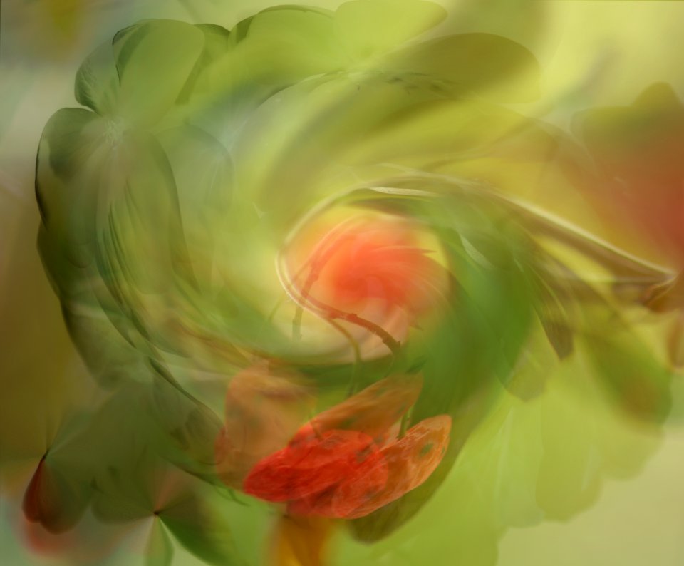 131 leaves etc. Organic Art 