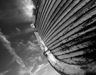 301 kent Dungeness 
