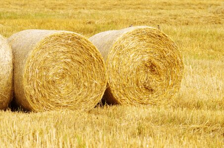 Disc field harvest