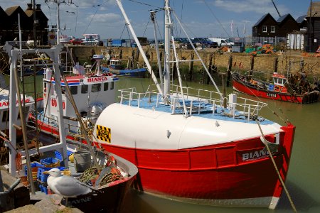 280 kent Whitstable Harbour photo